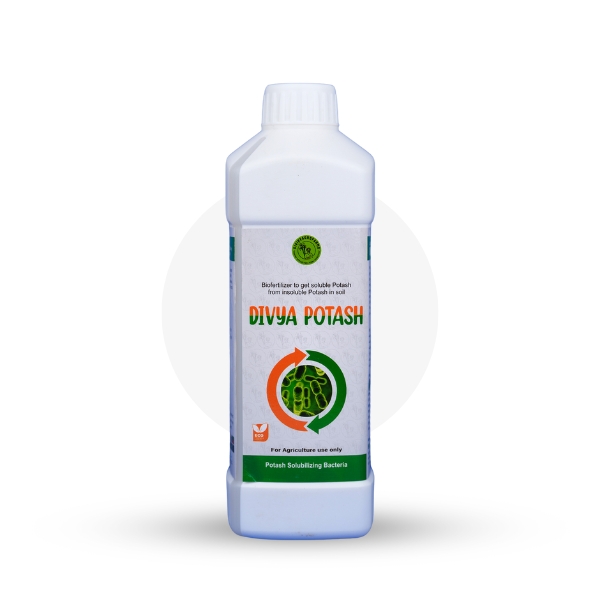Divya POTASH